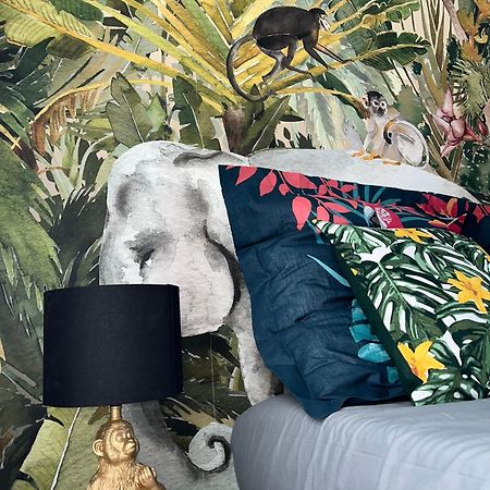 Studio Tropical , Vierzon , Proche Gare , Tout Confort Экстерьер фото