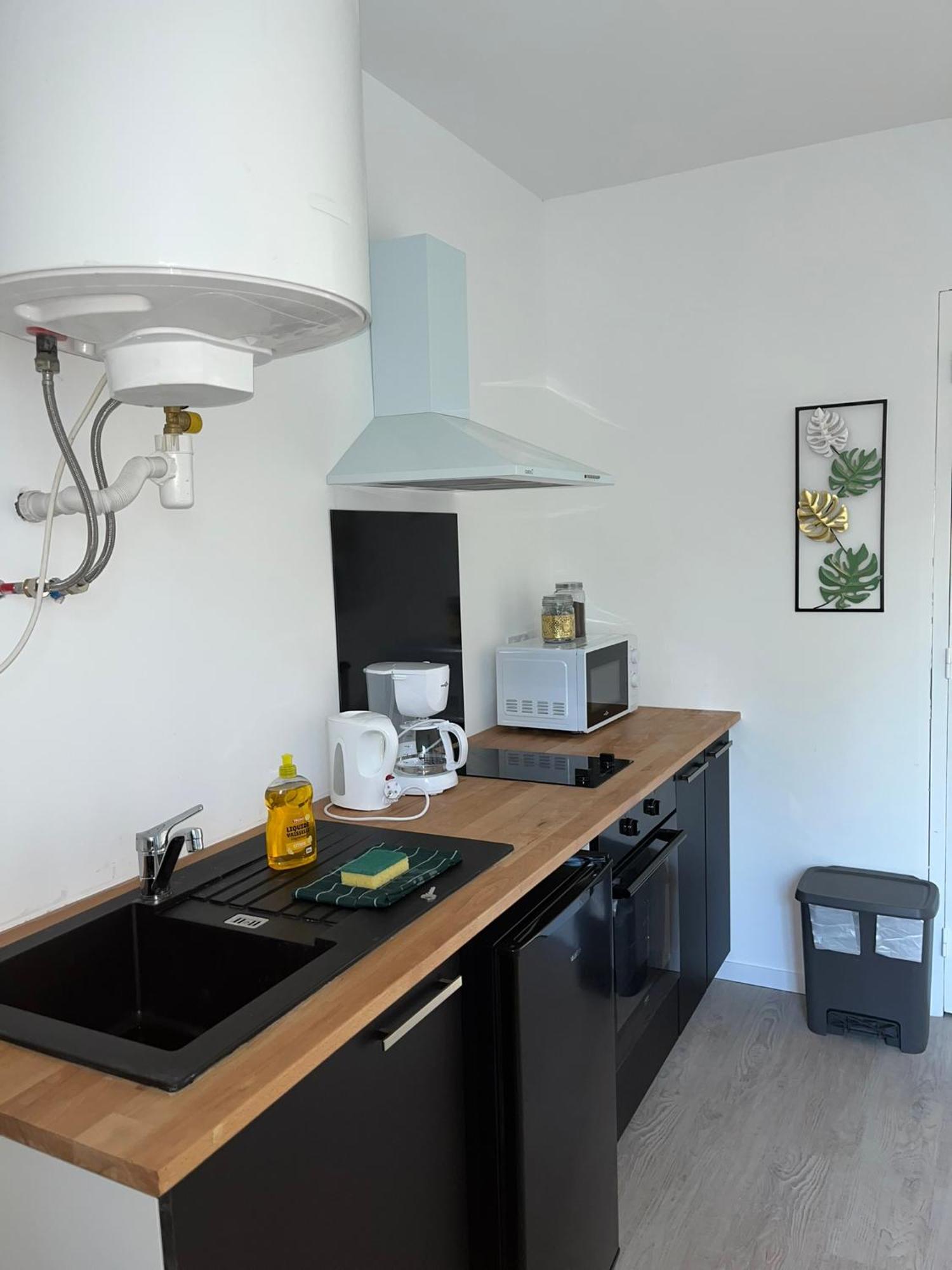 Studio Tropical , Vierzon , Proche Gare , Tout Confort Экстерьер фото